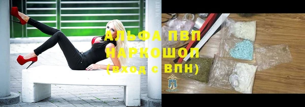 гашик Козельск