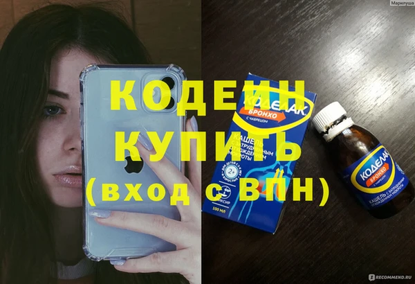 гашик Козельск