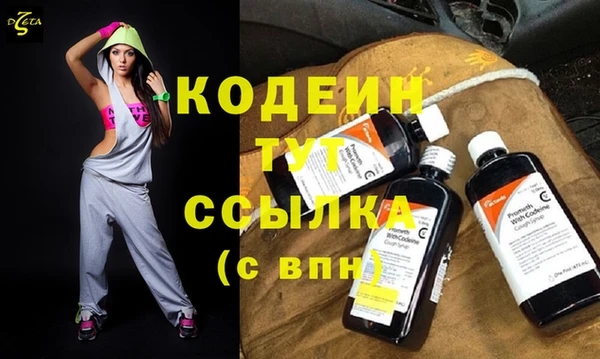 гашик Козельск